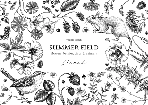 Vintage summer background. Floral banner design. Wildlife sketches. Wildflowers botanical illustration. Hand-drawn field flowers, birds, and animals. Retro style invitation, frame, card.